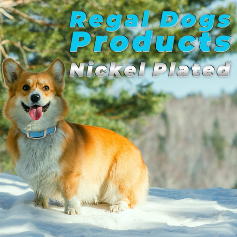 Regal Dog Products Large Light Green Dog Collar, Heavy Duty Double Buckle & D Ring, Adjustable Biothane Collar