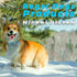 Regal Dog Products Large Light Green Dog Collar, Heavy Duty Double Buckle & D Ring, Adjustable Biothane Collar