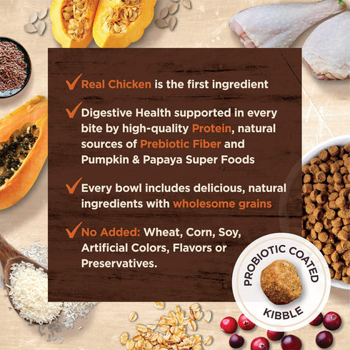 Wellness CORE Digestive Health Probiotic Coated High Protein Dry Cat Food, Salmon & Rice Recipe, 5 Pound Bag