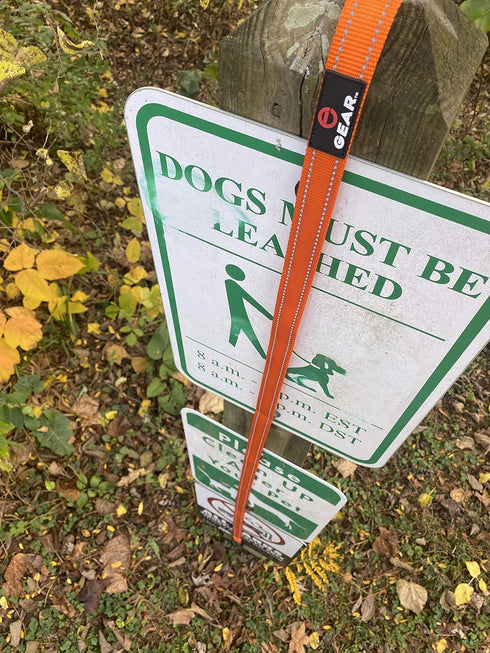 Nylon Dog Leash with Locking Carabiner, Heavy Duty Reflective Lead with Padded Handle for Walking, Orange, 4'