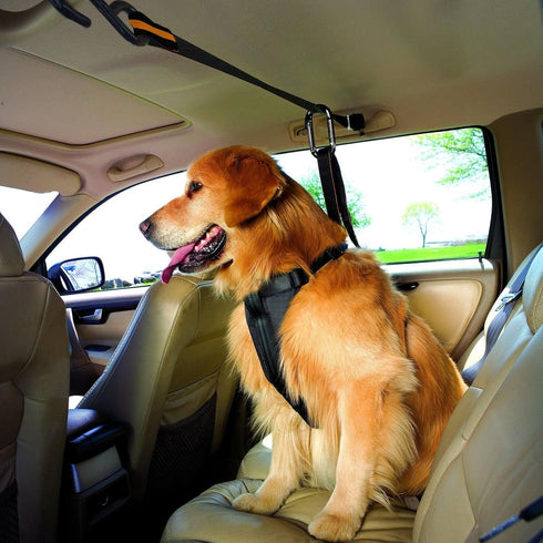 Kurgo Auto Zip Line - Backseat Zipline Harness for Car Travel - Dog Car Accessory for Safe Rides - Adjustable Pet