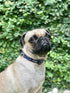 Tuff Pupper Heavy Duty Dog Collar, Tough Reflective Collar with Aluminum D-Ring Leash Clip, Easy Sizing for All Breeds