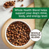 Premium Natural Dry Dog Food: Real Chicken & Veggies Recipe with Added Vitamins, 6 Pounds