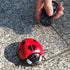 Remote Control Realistic Ladybug Toy - Fun Pet Teasing Prank