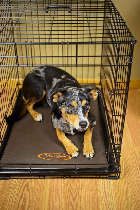 Mud River Crate Cushion