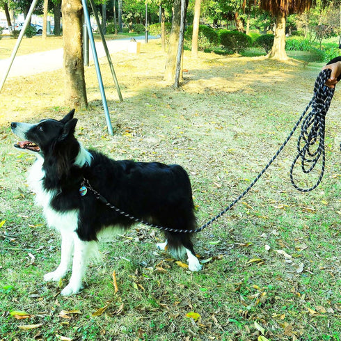 Long Dog Leash for Training, 16FT/30FT/50FT/100FT Reflective Leash with Lockable Hook for All Dogs Outside