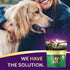 Zignature Duck Limited Ingredient Formula Biscuit Dog Treat, 12oz