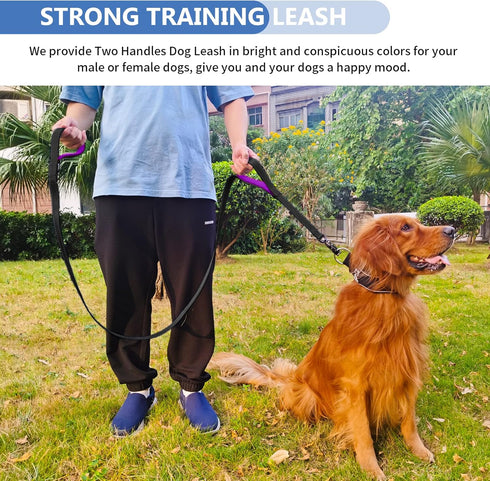 Strong Heavy Duty Dog Leash - 5ft Reflective Nylon with Soft Padded Double Handle for Large Medium Small Dogs