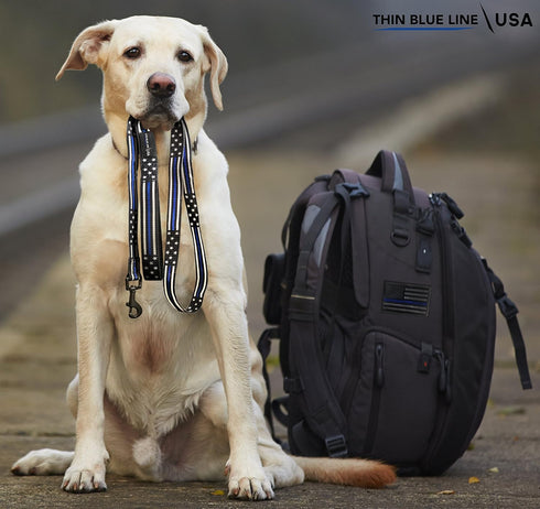 Thin Blue Line Dog Leash, Stars & Stripes American Flag Design