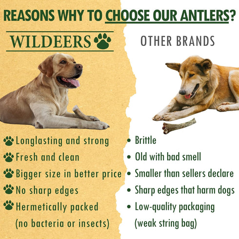 Wildeers Large Deer Antlers for Dogs - Premium Chew Treats, Made in USA, Naturally Shed, Grade A, 7-9 in, 2 Pieces