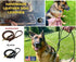 Ravenox Latigo Leather Dog Leash | Burgundy (1/2-inch x 6-feet) | USA Amish Made for Small to Medium Dogs
