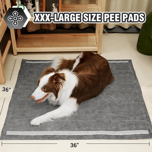 IMMCUTE Dog Pads Extra Large 36"X36", 30 Count, Charcoal Training Pads with Adhesive Strip