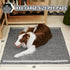 IMMCUTE Dog Pads Extra Large 36"X36", 30 Count, Charcoal Training Pads with Adhesive Strip