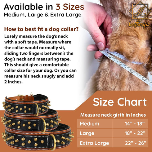 Spike Dog Collar | Spiky Series | Premium Genuine Bridle Leather, Heavy Duty, Padded for Medium, Large, XL Breeds