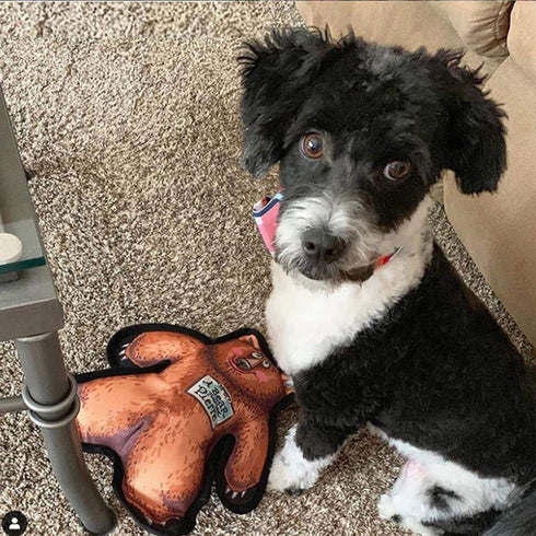 FUZZU Durable Dog Toy with Squeaker, Tough Chew Toy, Wild Woodies - A Bear Named Pierre, Medium 9"