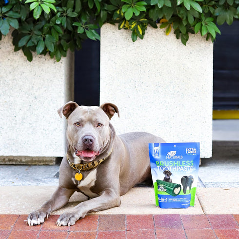 24oz, 1 Pack Ark Naturals Brushless Toothpaste, Dog Dental Chews for Extra Large Breeds, Freshens Breath, Unique