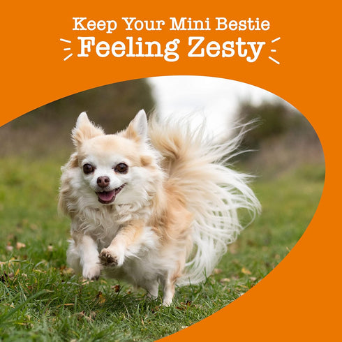 Zesty Paws Multivitamin Treats for Dogs, Glucosamine Chondroitin for Joint Support, 90ct Chicken Flavor