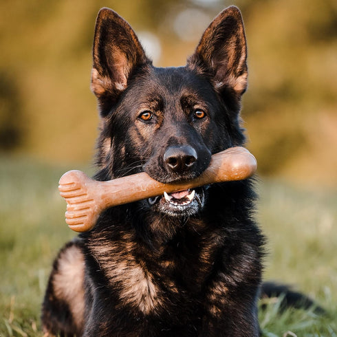 Bulkster Durable Chew Toy for Aggressive Chewers - Real Beef, Made in USA, Giant Size for Tough Play
