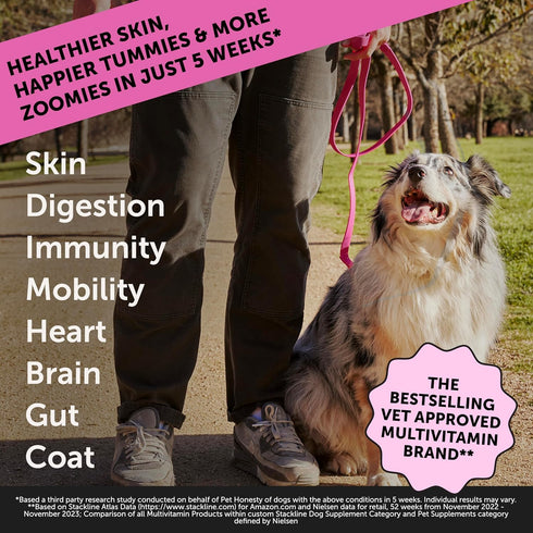 Pet Honesty Dog Multivitamin Max Strength - 15 in 1 Dog Vitamins for Health & Heart with Fish Oil, Glucosamine,