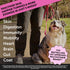 Pet Honesty Dog Multivitamin Max Strength - 15 in 1 Dog Vitamins for Health & Heart with Fish Oil, Glucosamine,