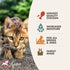 Fromm Four-Star Nutritionals Chicken Pate Cat Food, Premium Wet Cat Food, Chicken Recipe, Case of (12) 5.5 oz Cans