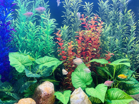 BEGONDIS 2 Pcs Artificial Water Plants, Fish Tank Aquarium Decorations, Made of Soft Plastic by BEGONDIS