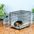 Sherpa Pet Crate Bed with Bumper-Style Cushioning for Comfort, Small, Natural Beige