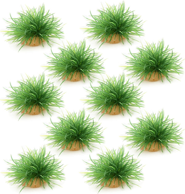 AQUA KT Aquarium Landscape Foreground Grass, Seaweed Green Plants for Marine Freshwater Fish Tank Decor