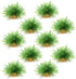AQUA KT Aquarium Landscape Foreground Grass, Seaweed Green Plants for Marine Freshwater Fish Tank Decor