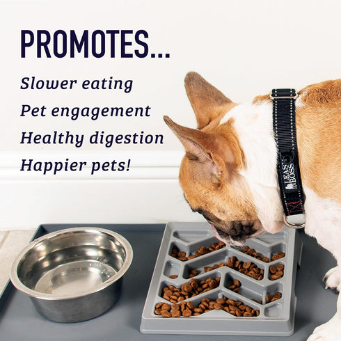 Leashboss Slow Feeder Dog Bowl for Flat Face Breeds, Tilted Slanted Maze Food Bowl for Dogs & Cats