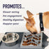 Leashboss Slow Feeder Dog Bowl for Flat Face Breeds, Tilted Slanted Maze Food Bowl for Dogs & Cats