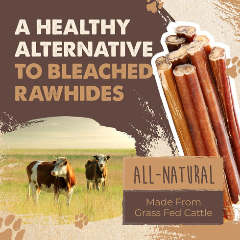 (6" 10 Pack) Mighty Paw Naturals Bully Sticks for Small & Medium Dogs - Grass Fed Beef Chews. Bully Sticks for Large