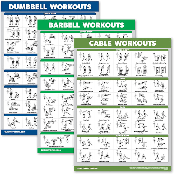 Palace Learning 3 Pack Workout Charts - Dumbbell, Barbell, and Cable Machine Exercises (LAMINATED, 18” x 24”)