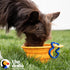 The Dodo Collapsible Dog Bowl, Yellow; Travel Dog Bowl That Folds Flat with Carabiner for Easy Storage