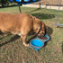 Travel Double Diner Dog Bowl, Loving Pets 73807991, Blue Sm