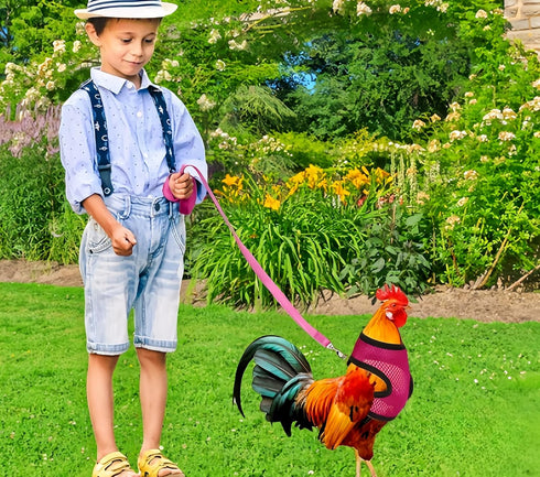 Magnoloran 3 Pack Set Chicken Harness and Leash Adjustable Hen Vest with Matching Belt Breathable Mesh Training Harness