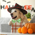 2023 NEW Halloween Holiday Dog Collar with Bow Tie for Boys and Girls, Suitable for Small Medium Large Dogs
