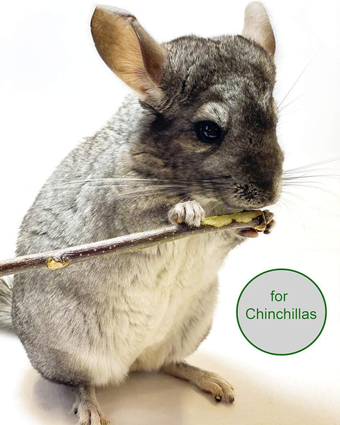 ECOVENIK Apple Sticks 120g - Natural Rabbit & Hamster Chew Toys, Organic Chinchilla Food for Small Animals