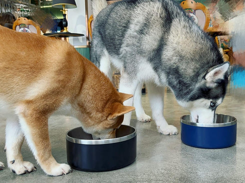 40 Oz Stainless Steel Dog Bowl for Food and Water, Durable Non-Skid Double Wall Insulated, Heavy Duty, Blue