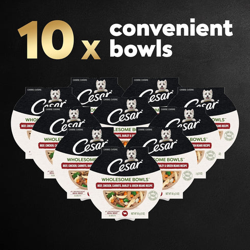 CESAR WHOLESOME BOWLS Adult Soft Wet Dog Food, Beef, Chicken, Carrots, Barley & Green Beans Recipe, (10) 3 oz. Bowls
