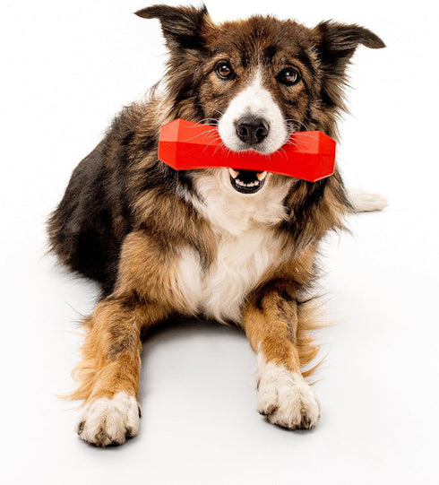 Playology Squeaky Dog Toy Fetch Stick - Durable Rubber Toys for Interactive Play, Beef Scented for Large Dogs