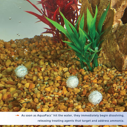 Aqueon AquaPacs Ammonia Reducer 12 Pack for 10 Gallon Aquariums