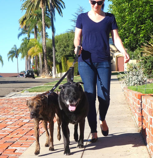 Leashboss Duo - Double Dog Leash for Large Dogs, Adjustable, Reflective, No Tangle, Detachable Padded Handle, Black