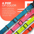 BLAZIN 'Color Me Happy!' Reflective Dog Collar - Adjustable Soft Neoprene Padded Collar in 4 Colors for Daily Use