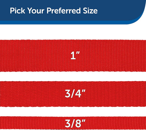 PetSafe Nylon Dog Leash, Red 3/4" x 6' - Strong, Durable, Traditional Style with Easy to Use Bolt Snap