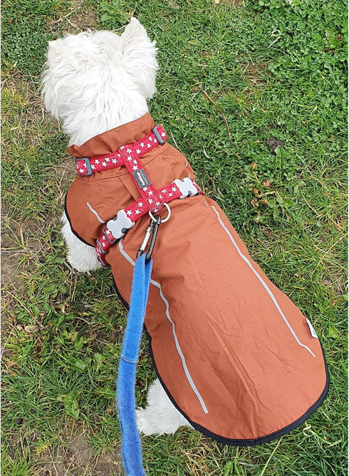 Mile High Life Adjustable Waterproof Dog Raincoat, Lightweight Breathable Jacket for Small Medium Large Dogs