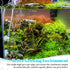 Boao 32.8 ft Aquarium CO2 Proof Tubing, Clear Airline Tubing with 12 Pcs Suction Cups for Fish Tank