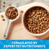 Nature's Recipe Grain Free Puppy Dry Dog Food, Chicken, Sweet Potato & Pumpkin, 4 lb. Bag