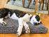 Dog Gone Smart Pet Products Microfiber Cushion Pad, Grey, 19x24 Small, Model: DGSDDCP1921
