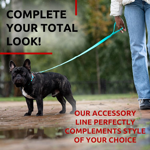 WAUDOG Waterproof Dog Leash, 4 Ft / 6 Ft, Anti-Slip for Large, Medium, Small Dogs, Heavy Duty, Water & Dirt-Resistant